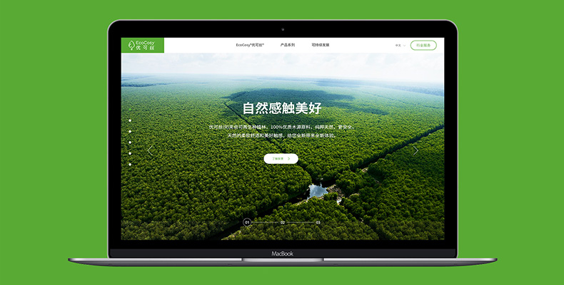 網頁設計與維護的成本是多少？